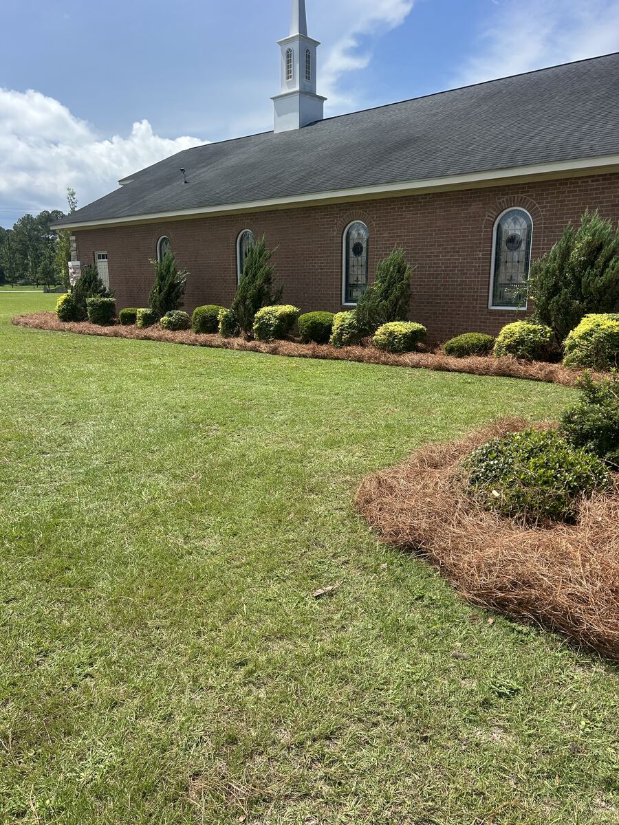 The front of a brick church, every bed along it covered in fresh pine straw, under a blue sky