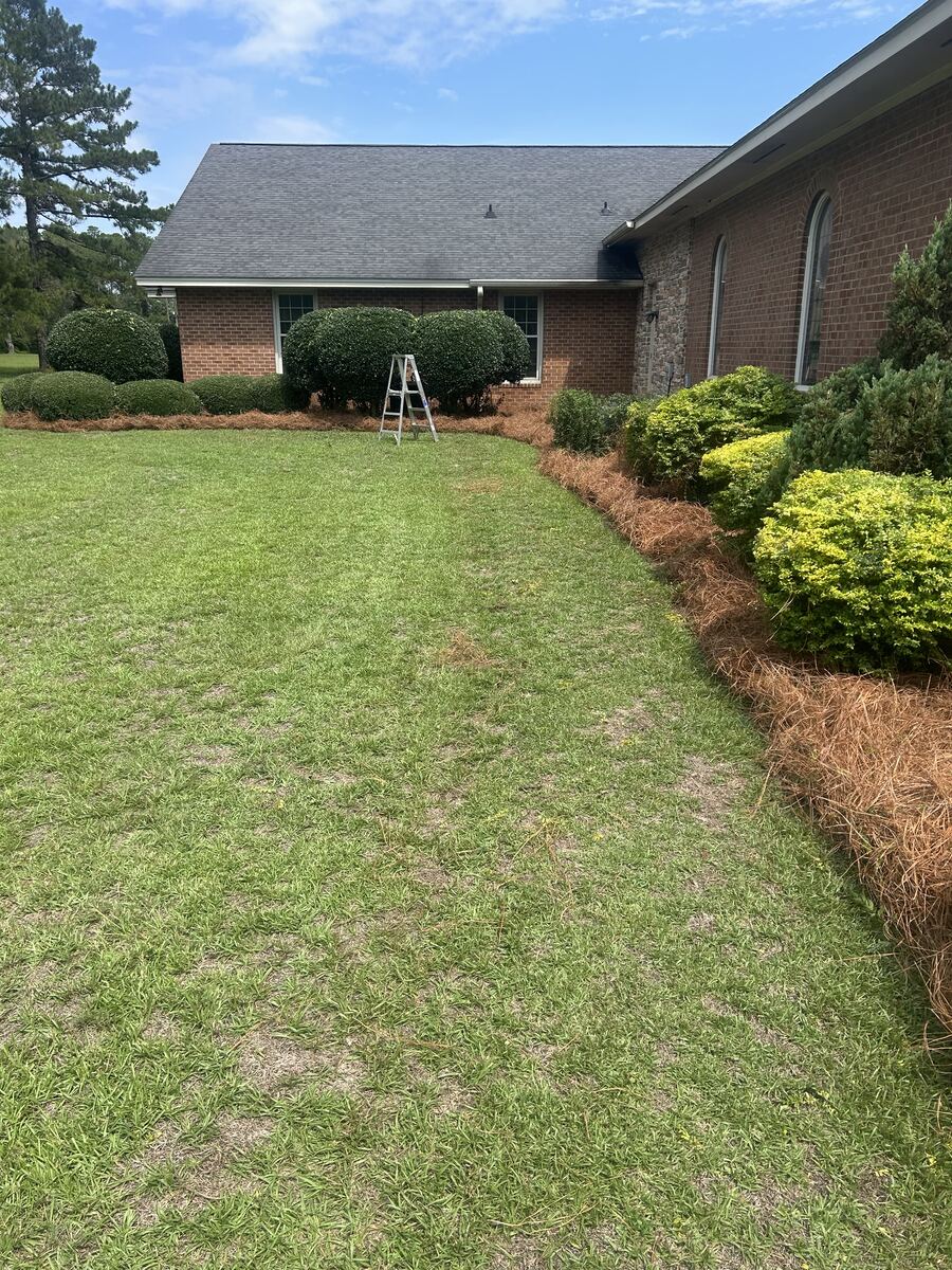 The same kind of bed with fresh copper straw laid deep and raked to a clean edge