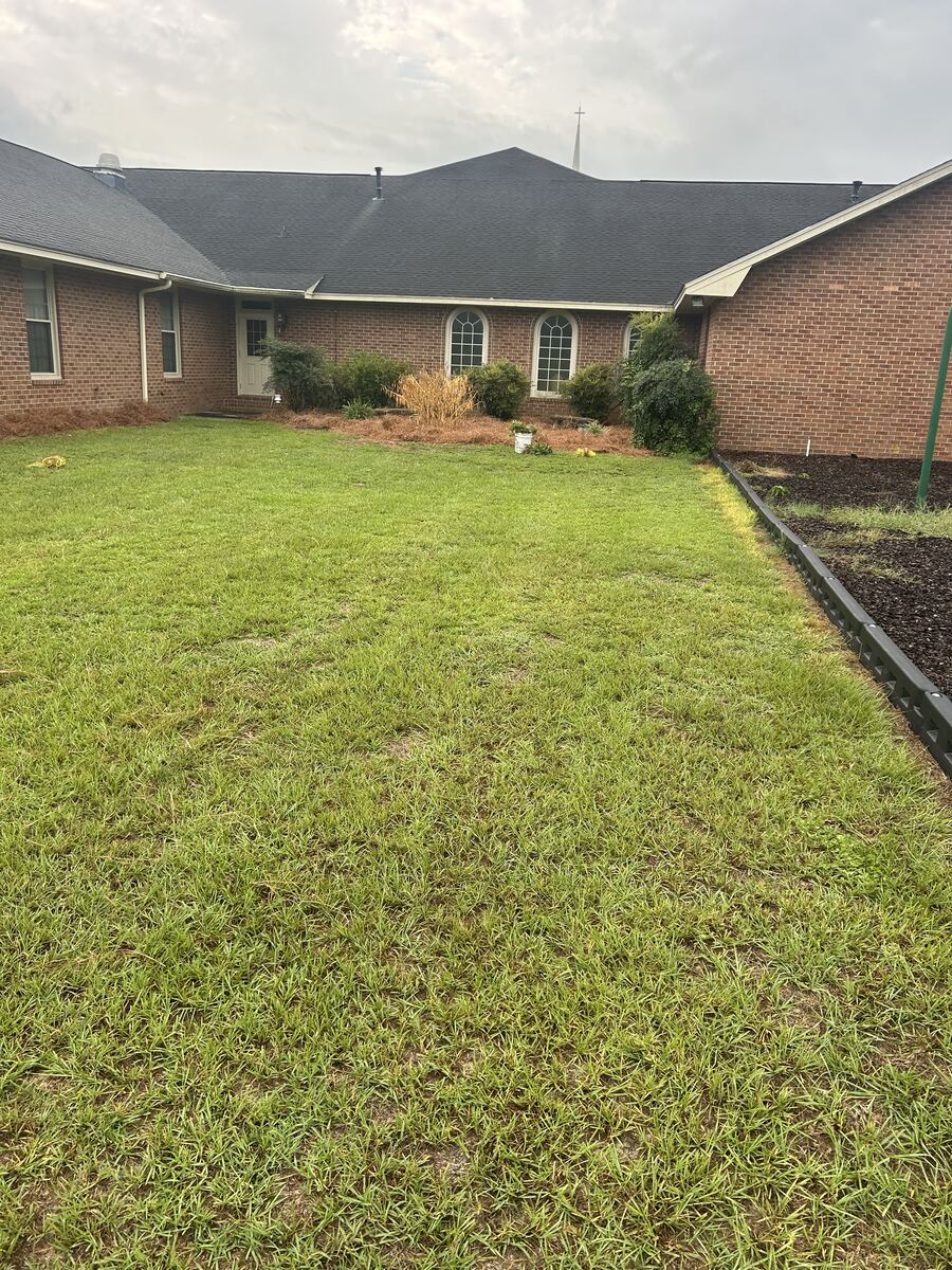 Beds along a brick building with old straw gone thin and gray