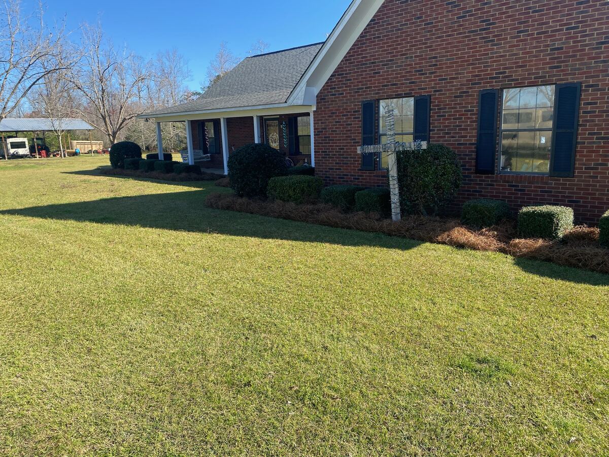 A brick house with a fresh line of pine straw running the whole length of its front beds