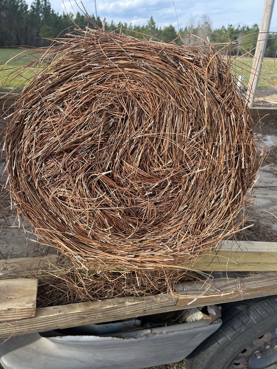 A single round bale of pine straw sitting on a wooden trailer bed