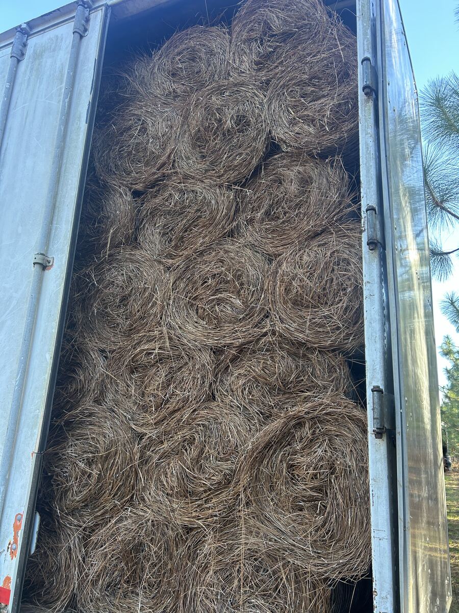 The back of a box truck standing open, packed to the roof with round bales