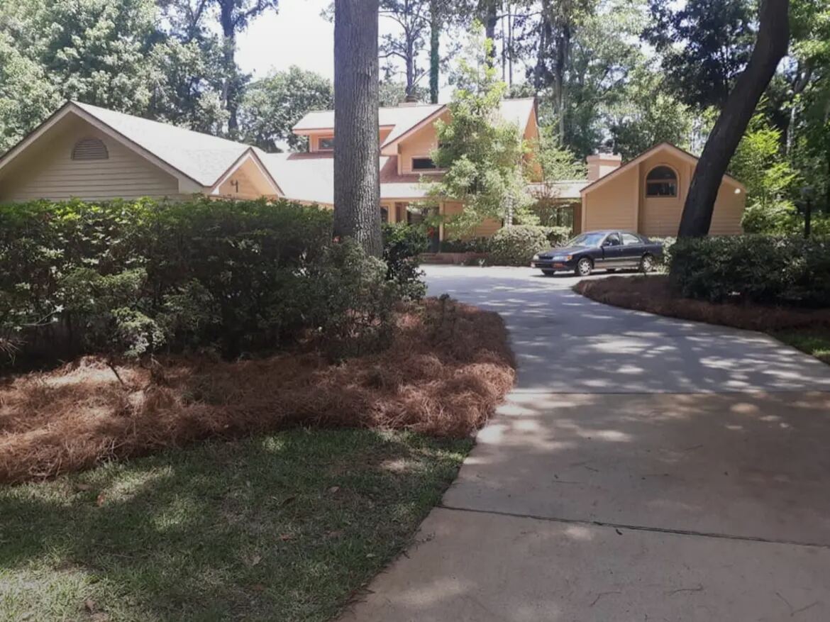 A pine straw bed under shrubs and tall pines, running along the edge of a driveway