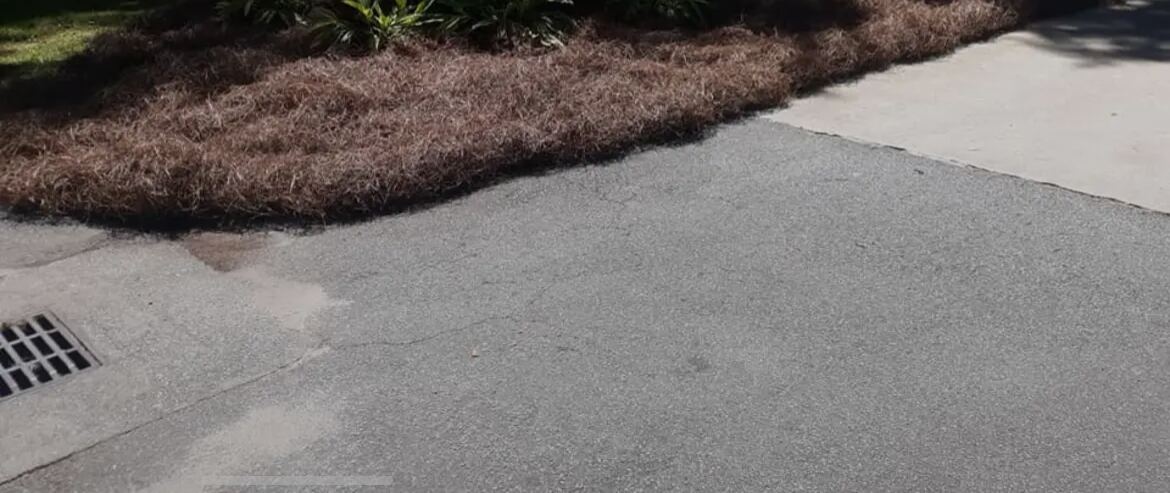 The edge of a pine straw bed meeting a concrete driveway, with the straw raked level to the line