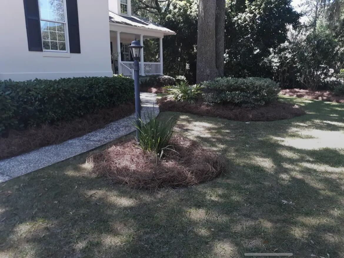 A small pine straw island around a lamp post, with a larger bed running along the walk behind it